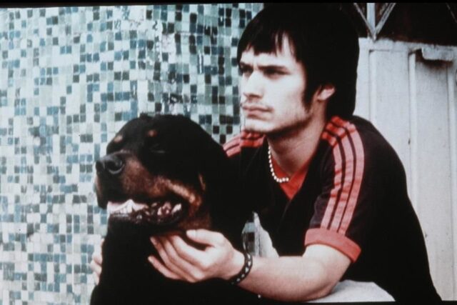 Amores Perros serie