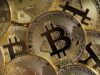 Impactante Descubrimiento: Granja Clandestina de Criptomonedas en Puebla Vinculada al Crimen Organizado granja criptomonedas crimen